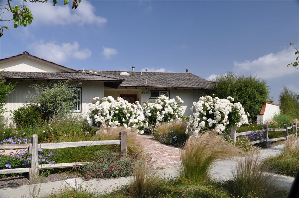 Winding Road Garden Streetview