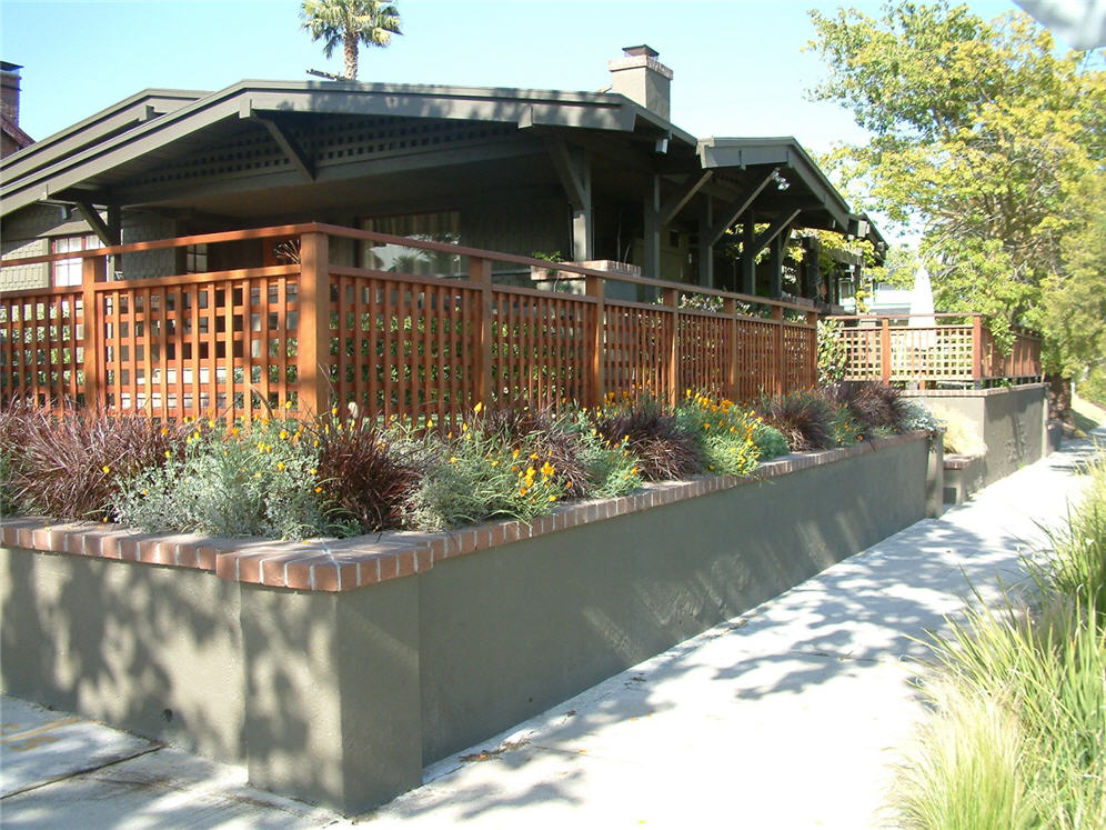 Tidy Plants in Raised Planter