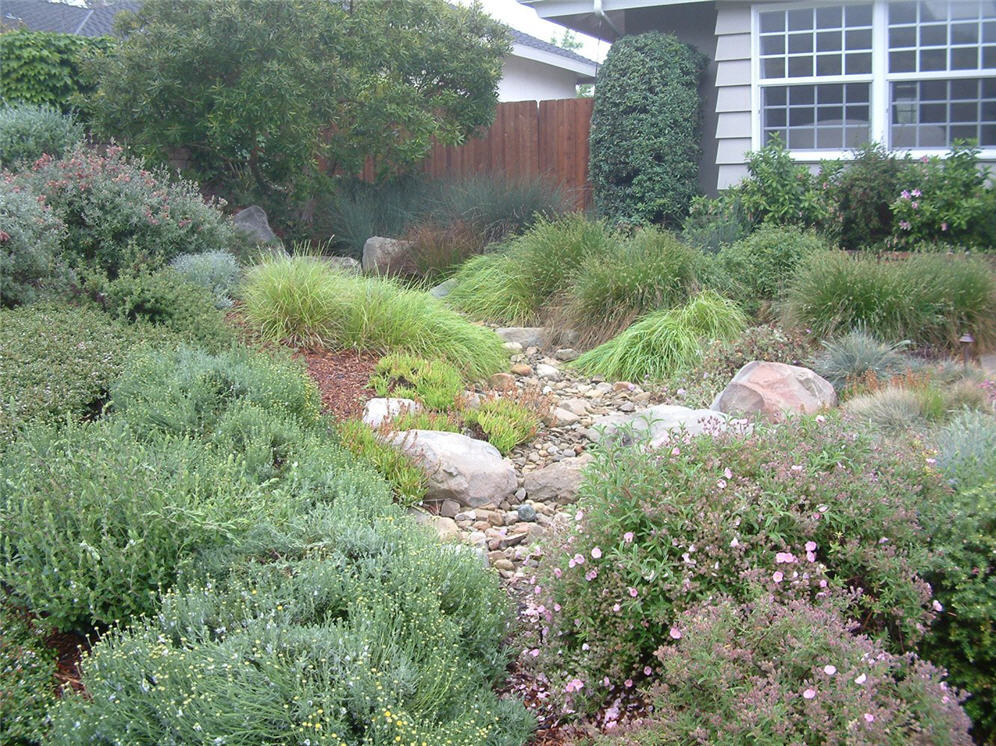 Quiet Rock Creek