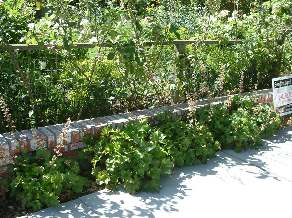 Wire Fencing and Low Brick Wall