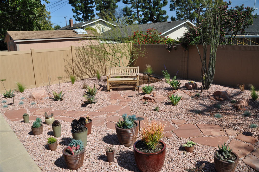 Dry Desert Theme Back Yard