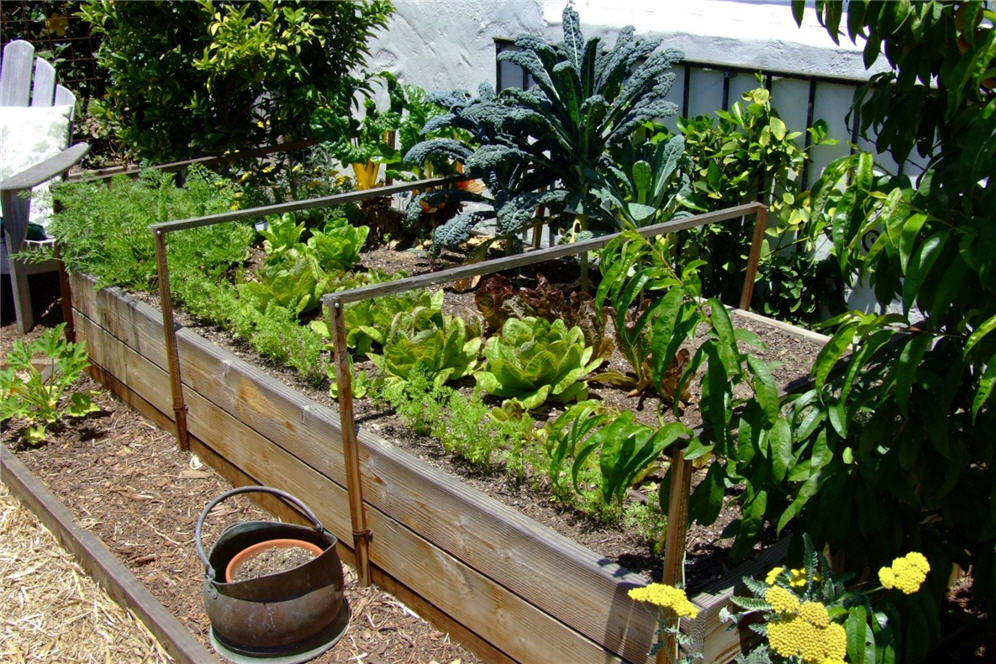 Raised Vegetable Planter Beds