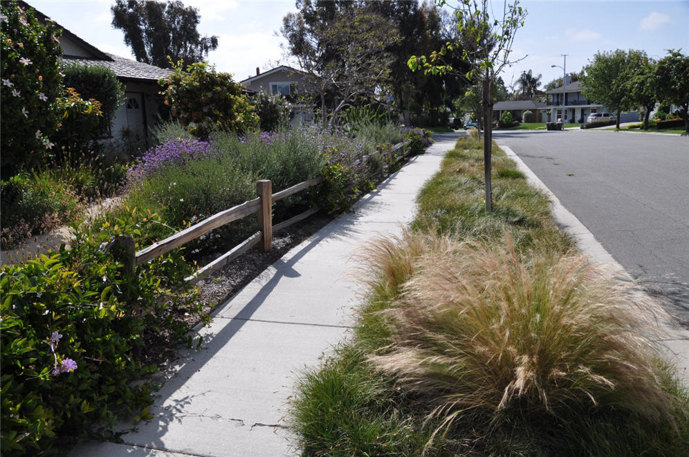 Long Side Walk View